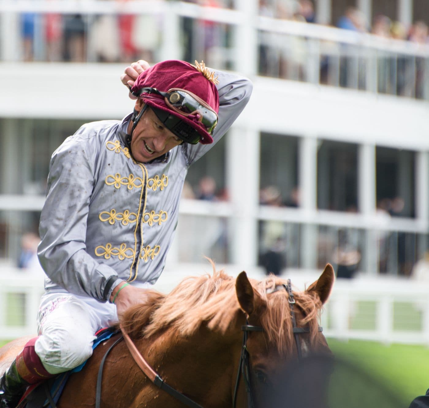 A jockey in silks at the Royal Ascot race meeting